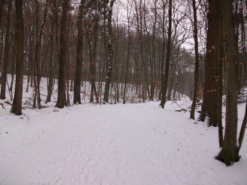 Crosslauf Bergedorf 037